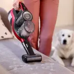 Come pulire una casa dai peli di animali