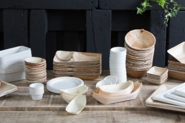 Piatti biodegradabili ed ecologici: tipologie e smaltimento