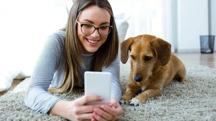 Google Lens: riconoscere cani e gatti, semplice come scattare un foto!